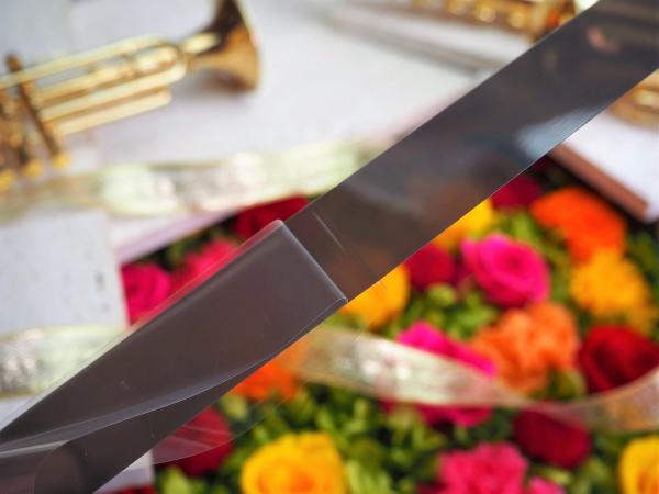 トーヨーケム　金属メッキ代替用粘着シート DCM001-TY　210mm×300mm　2枚